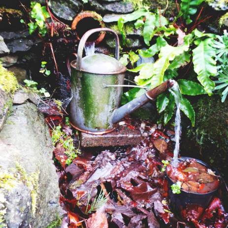 Watering can in the lakes
