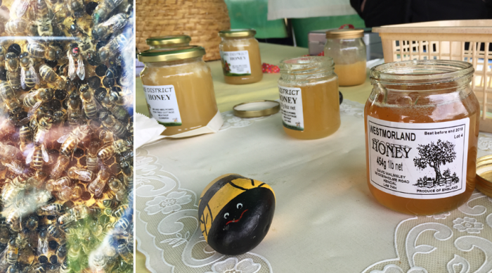 Holker Garden Festival | Furnace Beekeepers AssociationObservation Hive & Honey Tasting